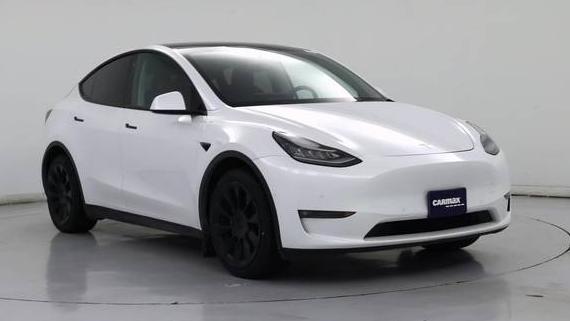 TESLA MODEL Y 2021 5YJYGDEE3MF244341 image